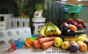 Fresh Fruit Pops -ingredients