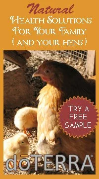 Healthy Solutions for You & Your Flock