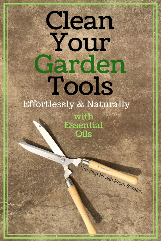 Two ingredient, non-toxic all purpose cleaner works great for your garden tools (and everything else)